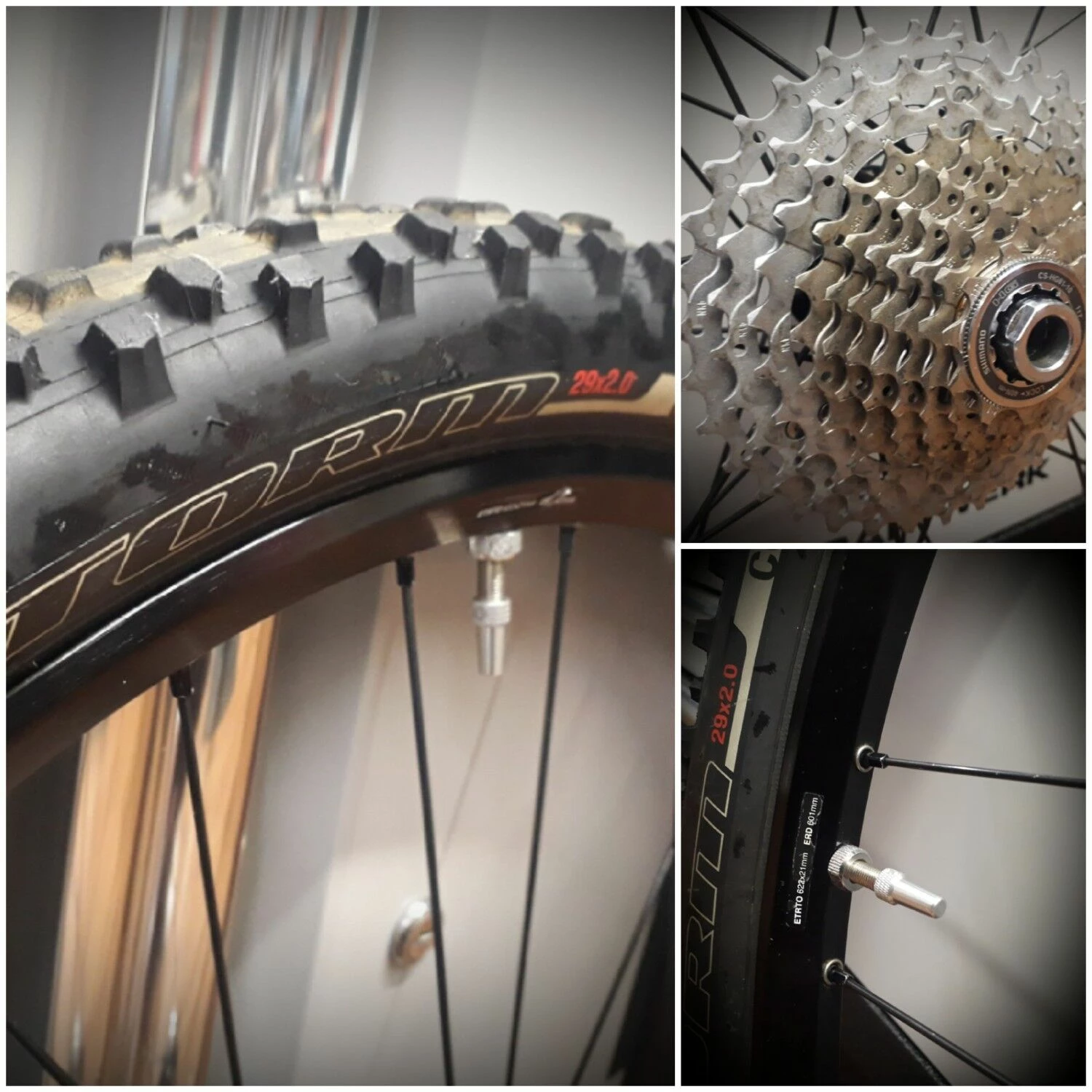 Dt-swiss Roues Complètes Dt Swiss - 29'' 2 Dt-swiss Roues Complètes Dt Swiss - 29'' – Image 2