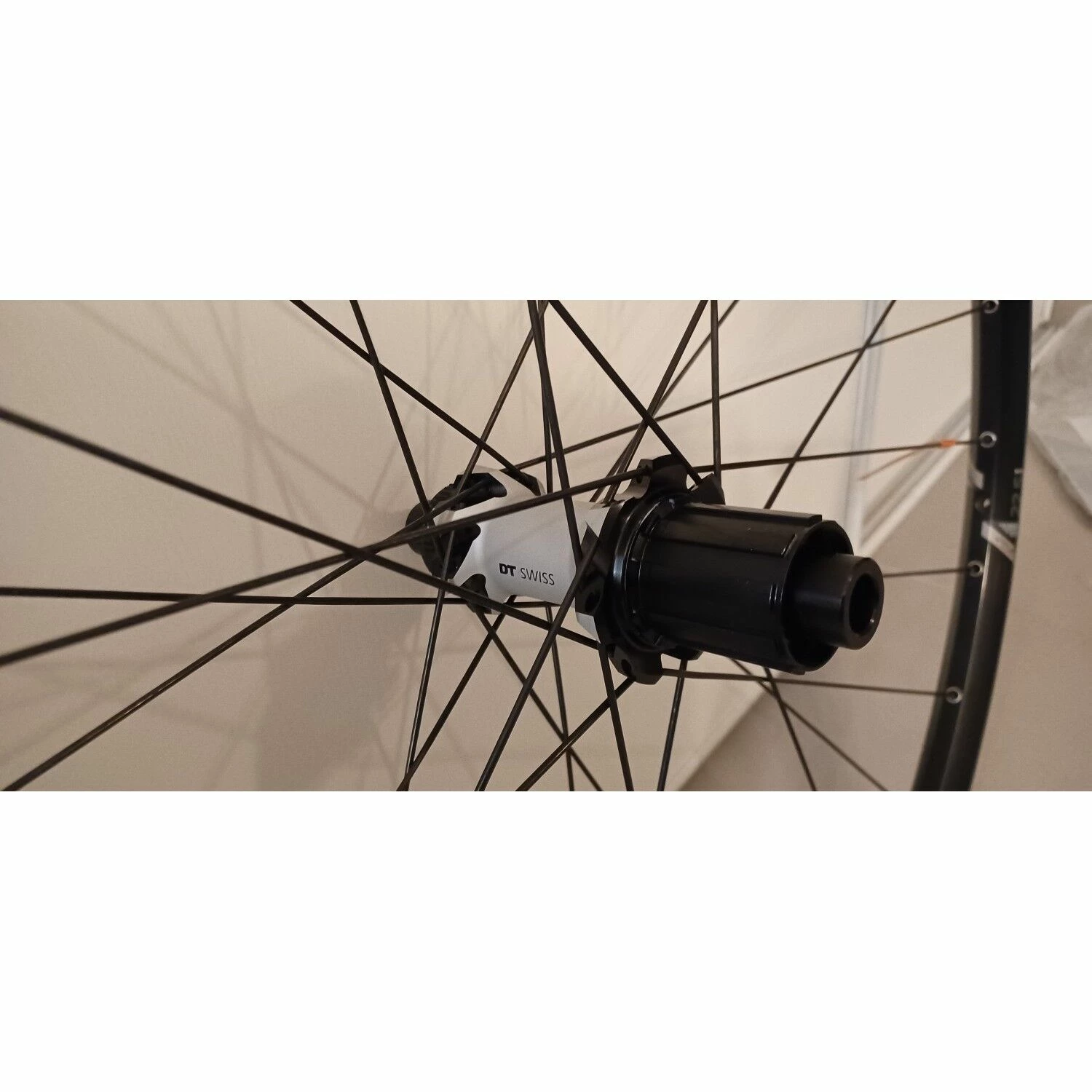 Dt-swiss Roues Complètes Dt Swiss - 29'' 2 Dt-swiss Roues Complètes Dt Swiss - 29'' – Image 2